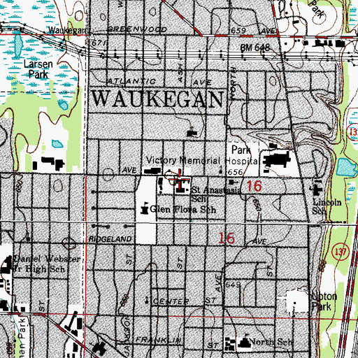 Topographic Map of Saint Anastasia Catholic School, IL
