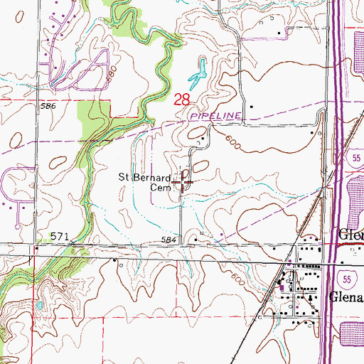 Topographic Map of Saint Bernard Cemetery, IL