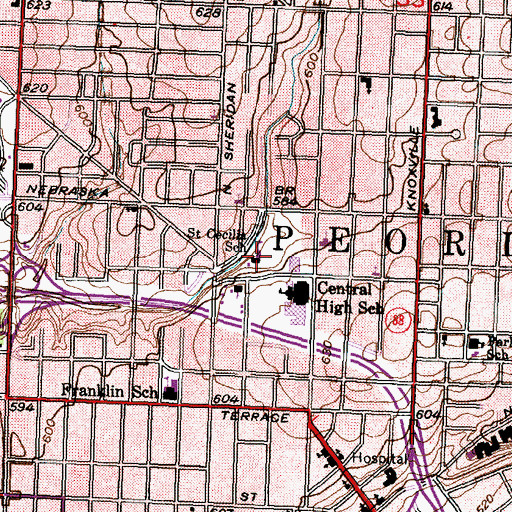 Topographic Map of Saint Cecilia School, IL