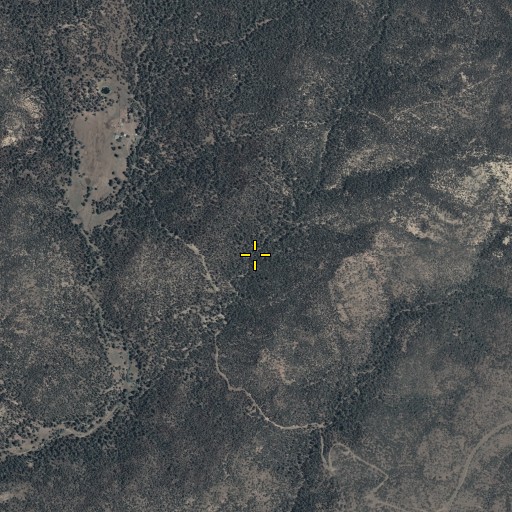 Aerial/Satellite Image of Washout Spring, AZ