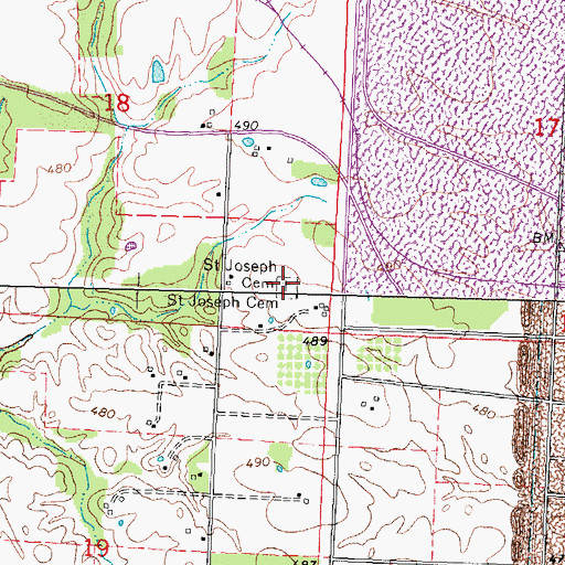 Topographic Map of Saint Joseph Cemetery, IL