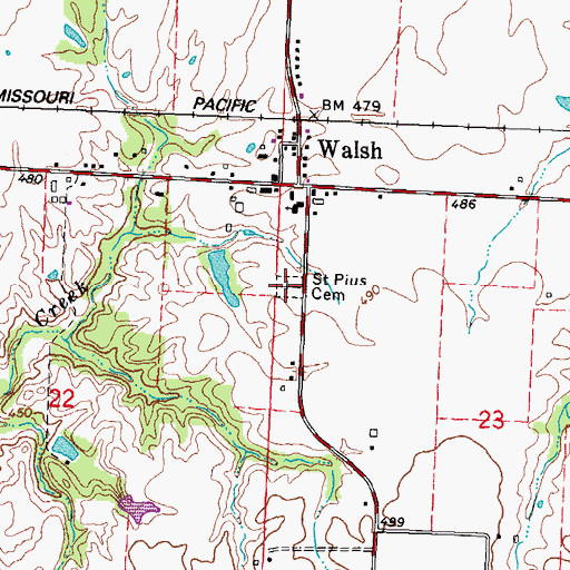 Topographic Map of Saint Pius Cemetery, IL