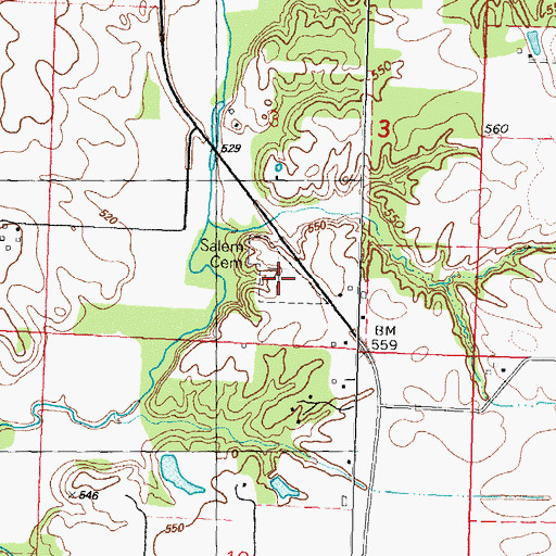 Topographic Map of Salem Evangelical Cemetery, IL