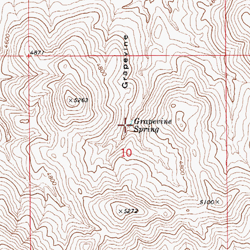 Topographic Map of Grapevine Spring, AZ