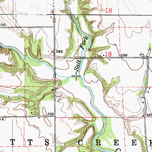 Topographic Map of Salt Fork, IL