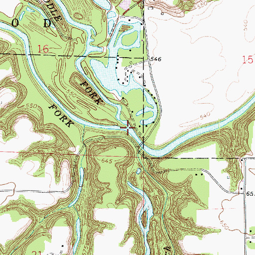 Topographic Map of Salt Fork, IL