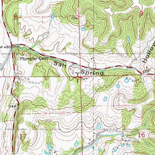 Topographic Map of Salt Spring, IL