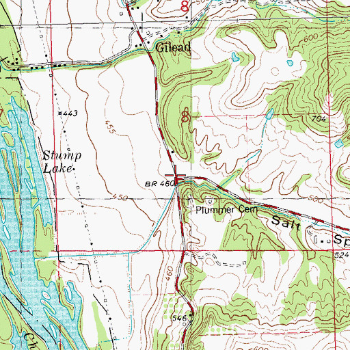 Topographic Map of Salt Spring Hollow, IL
