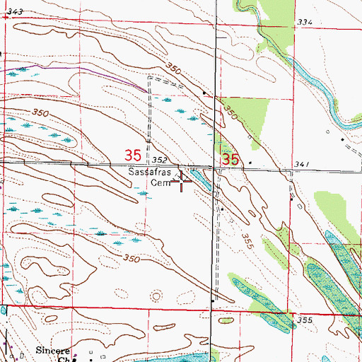 Topographic Map of Sassafras Cemetery, IL