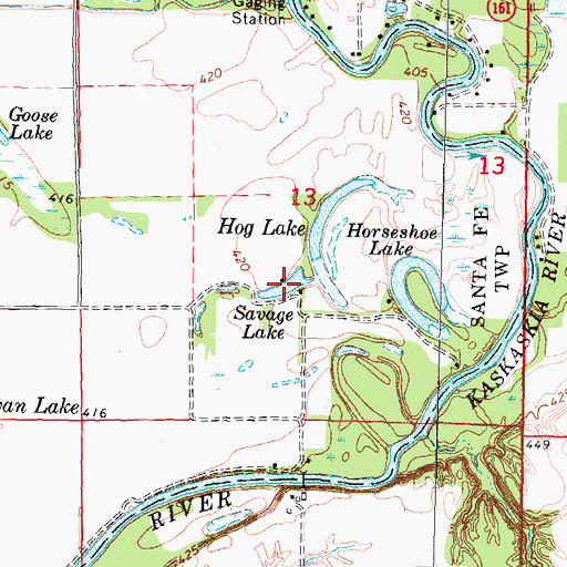 Topographic Map of Savage Lake, IL