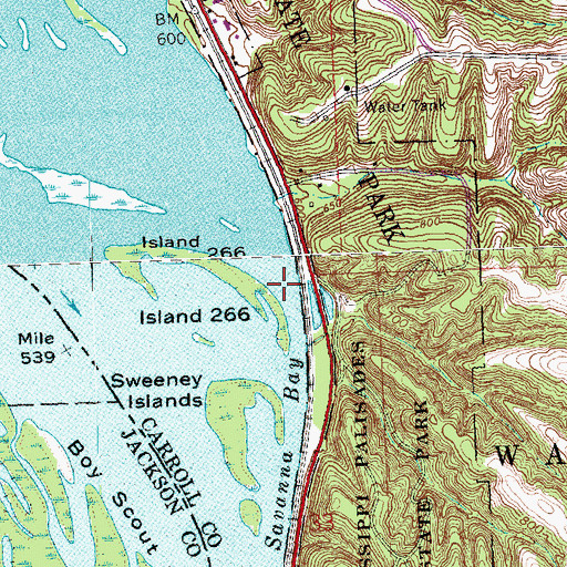 Topographic Map of Savanna Bay, IL