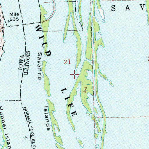 Topographic Map of Savanna Slough, IL