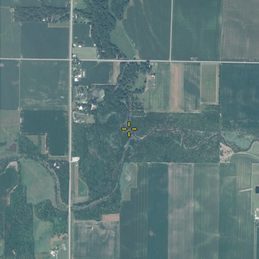 Aerial/Satellite Image of Scattering Fork, IL