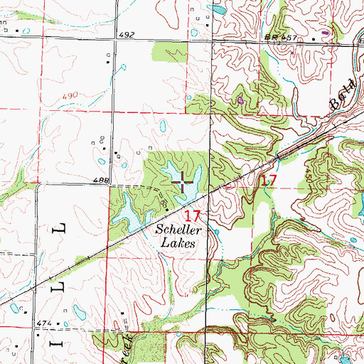 Topographic Map of Scheller Lakes, IL