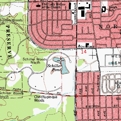 Topographic Map of Schiller Pond, IL