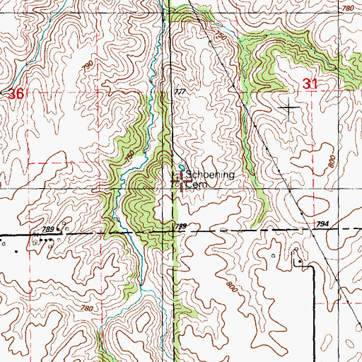 Topographic Map of Schoening Family Cemetery, IL
