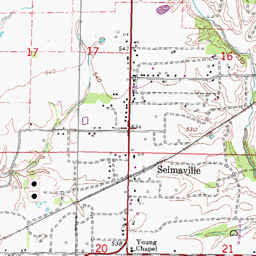 Topographic Map of Selmaville, IL