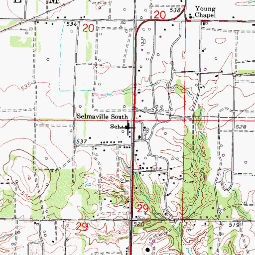 Topographic Map of Selmaville South School, IL