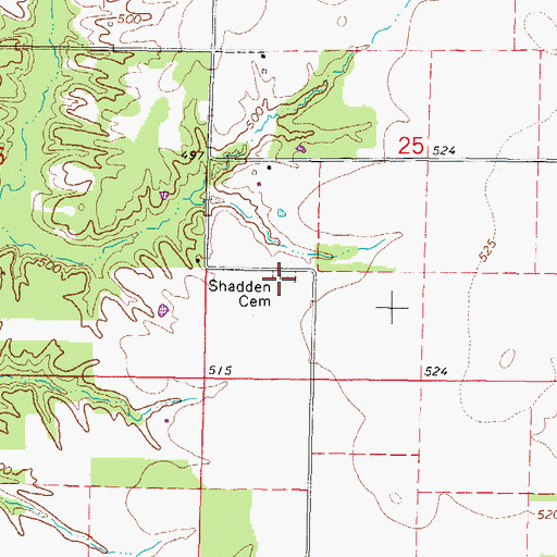 Topographic Map of Shadden Cemetery, IL