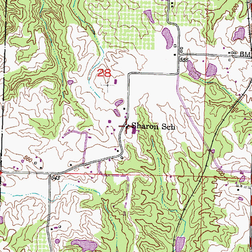 Topographic Map of Sharon School, IL