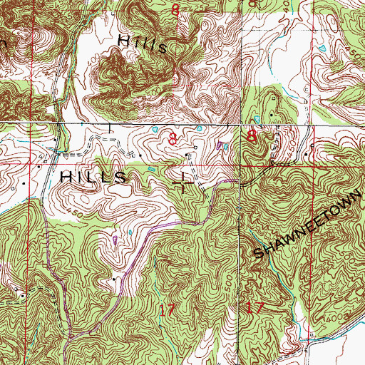 Topographic Map of Shawneetown Hills, IL