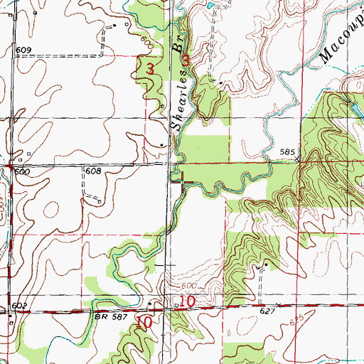 Topographic Map of Shearles Branch, IL