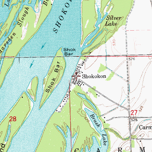 Topographic Map of Shokokon, IL