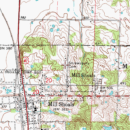 Topographic Map of Shrewsbury Cemetery, IL