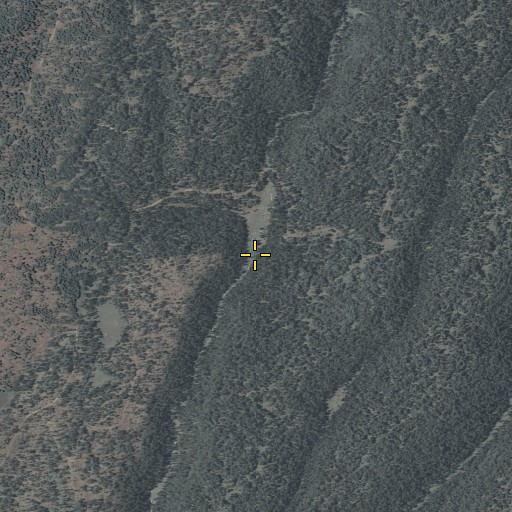 Aerial/Satellite Image of Duke Creek, AZ