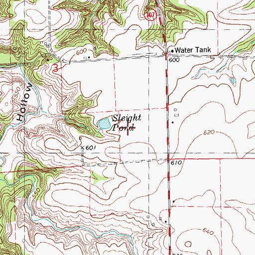 Topographic Map of Sleight Pond, IL