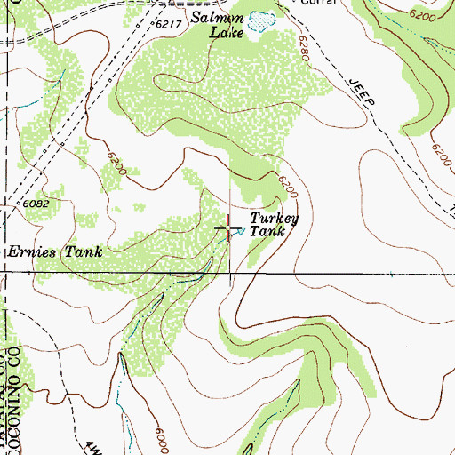 Topographic Map of Turkey Tank, AZ