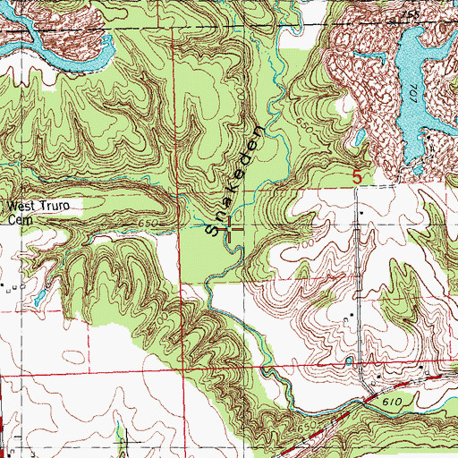 Topographic Map of Snakeden Hollow, IL