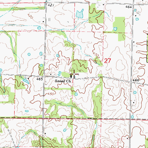 Topographic Map of Sneed Church, IL