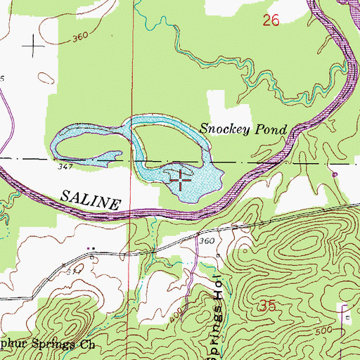 Topographic Map of Snockey Pond, IL