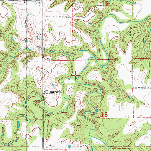 Topographic Map of South Branch, IL