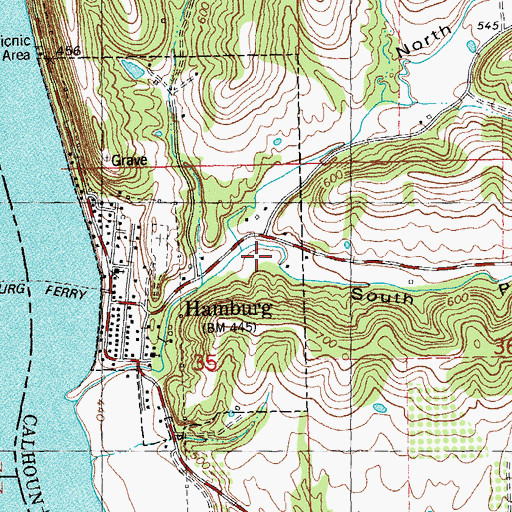 Topographic Map of South Prong Irish Hollow, IL