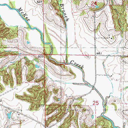 Topographic Map of Spring Branch, IL