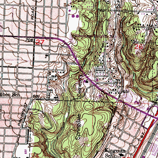 Topographic Map of Springdale Cemetery, IL