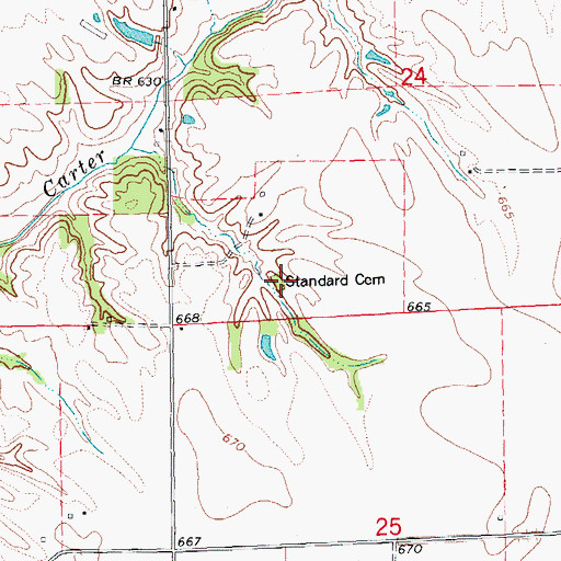 Topographic Map of Standard Cemetery, IL