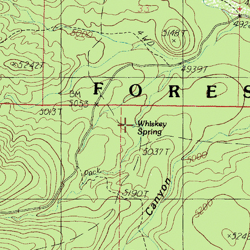 Topographic Map of Whiskey Spring, AZ