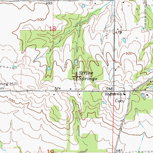 Topographic Map of Stiver Springs, IL