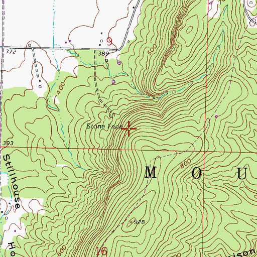 Topographic Map of Stone Face, IL