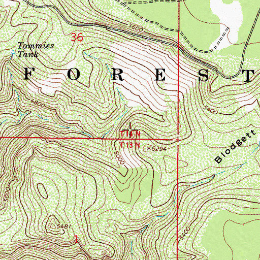 Topographic Map of Blodgett Basin Tank, AZ