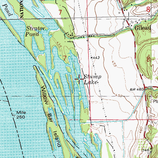 Topographic Map of Stump Lake, IL