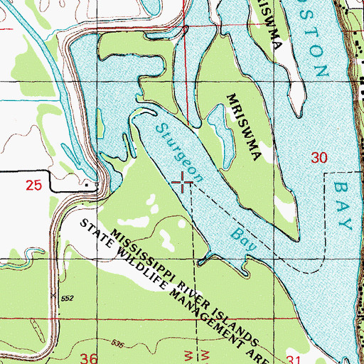 Topographic Map of Sturgeon Bay, IL