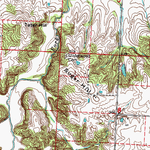 Topographic Map of Sugar Hill, IL
