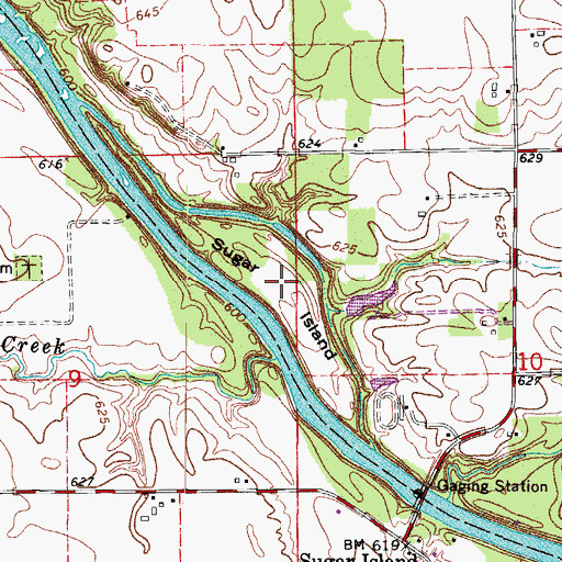 Topographic Map of Sugar Island, IL