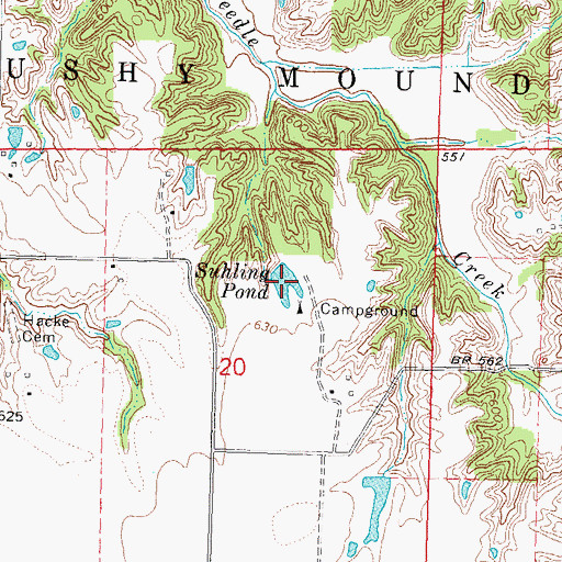 Topographic Map of Suhling Pond, IL