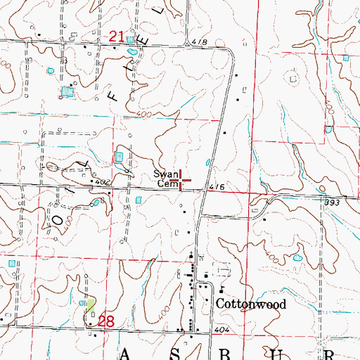 Topographic Map of Swan Cemetery, IL