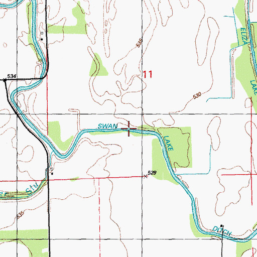 Topographic Map of Swan Lake Ditch, IL